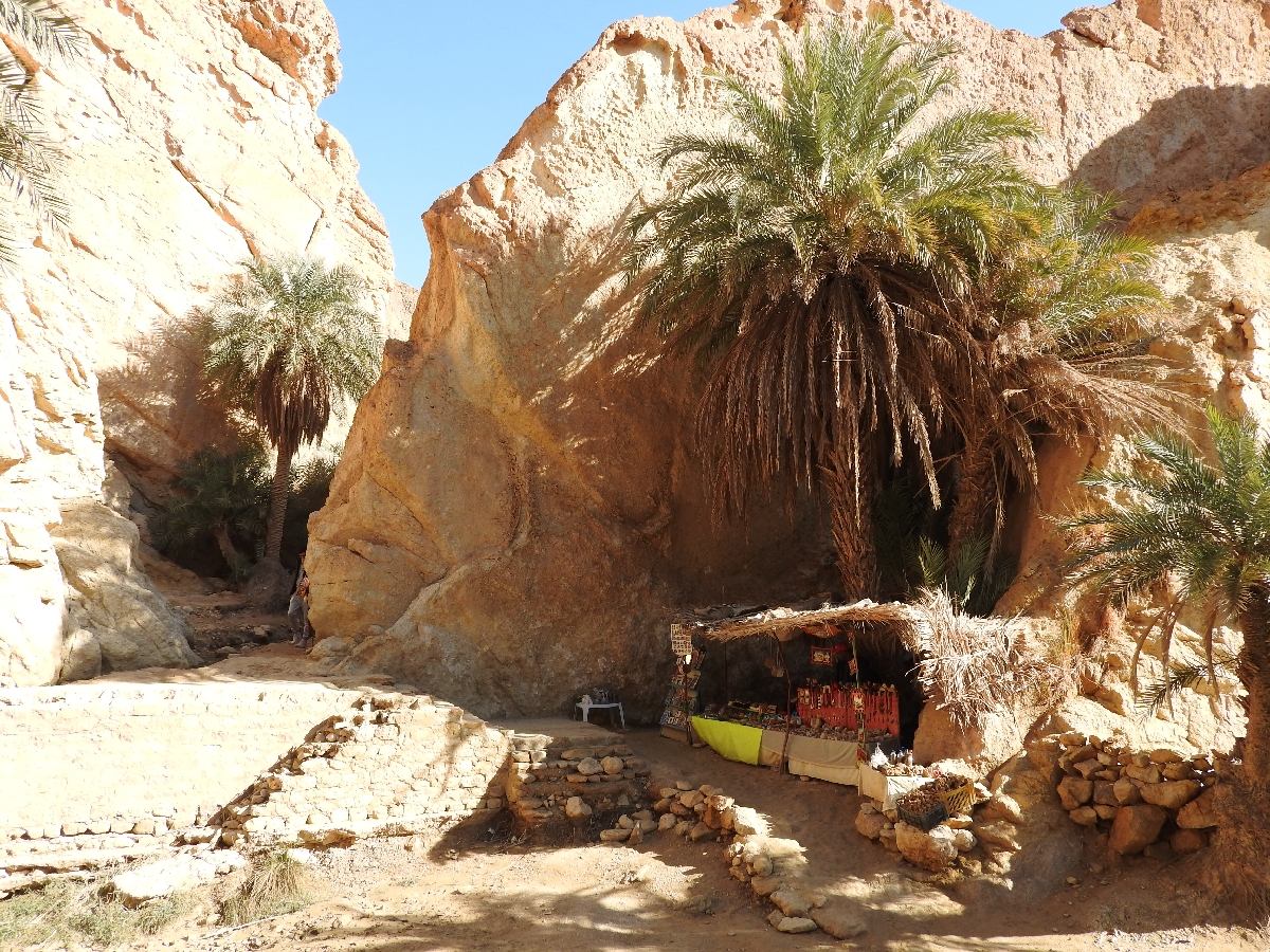 23 Tozeur Oasi Di Montagna